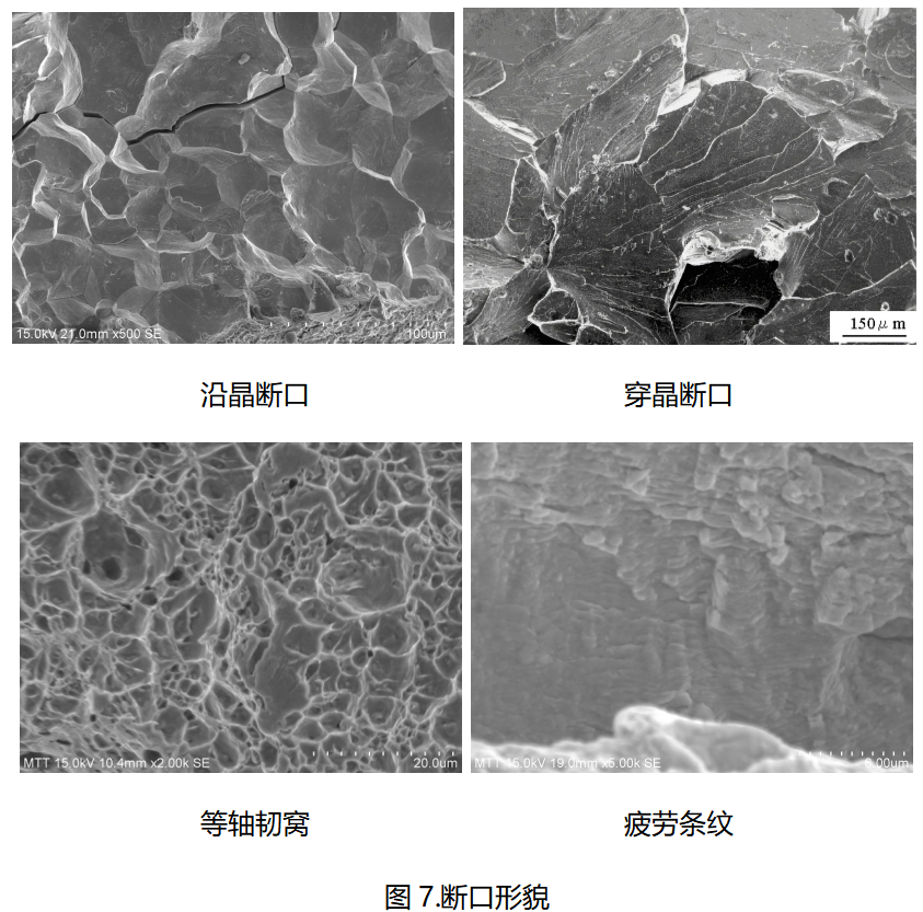 美信檢測斷口形貌對比分析：沿晶斷口、穿晶斷口、韌窩與疲勞條紋SEM顯微圖
